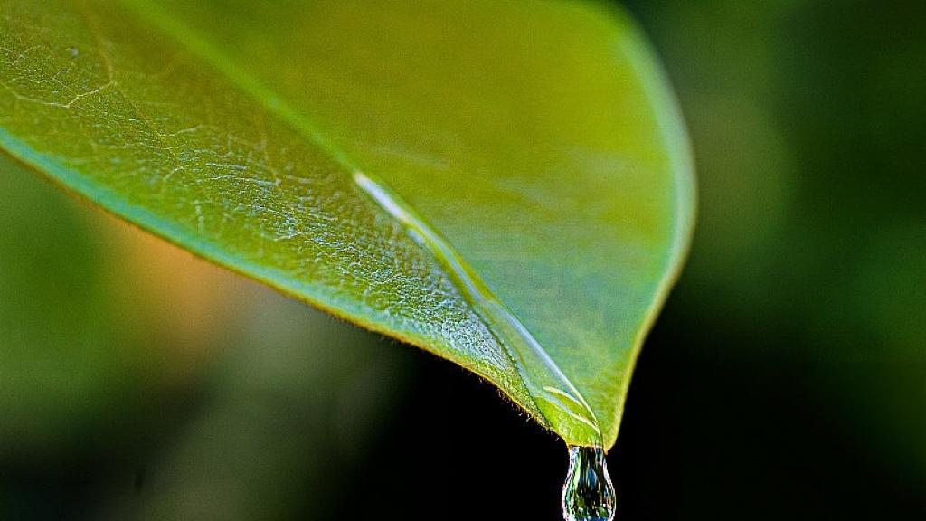 网购越卷，中国越强？