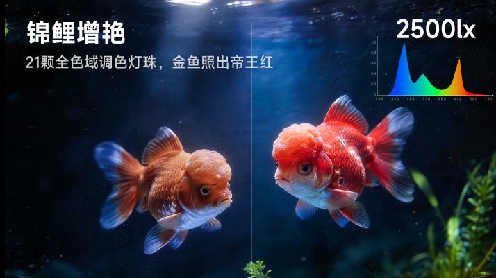 告别频繁换水！智能鱼缸哪个牌子好？当贝2S Ultra大滤仓深度实测