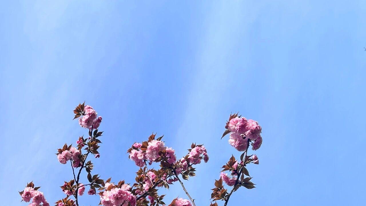 男人背叛后，还跟妻子亲密的心理，跟爱无关