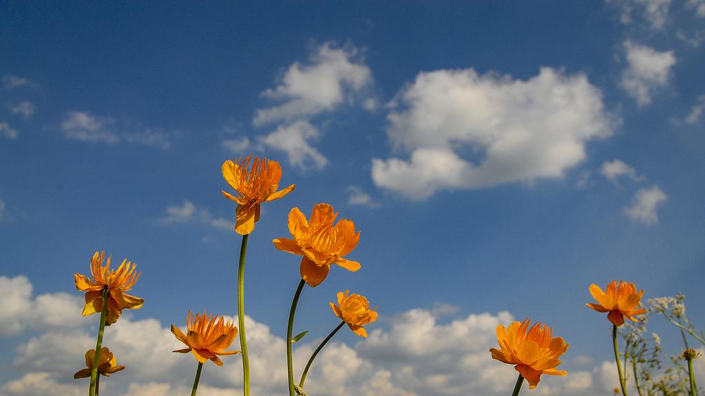 起点万订作者被父母批不务正业：如何应对梦想败给进厂打工的体面