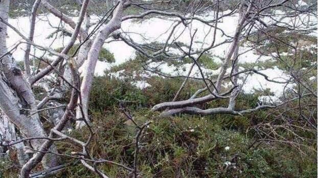 每张图都藏着一名狙击手，能在10秒内找到的人，视力不一般