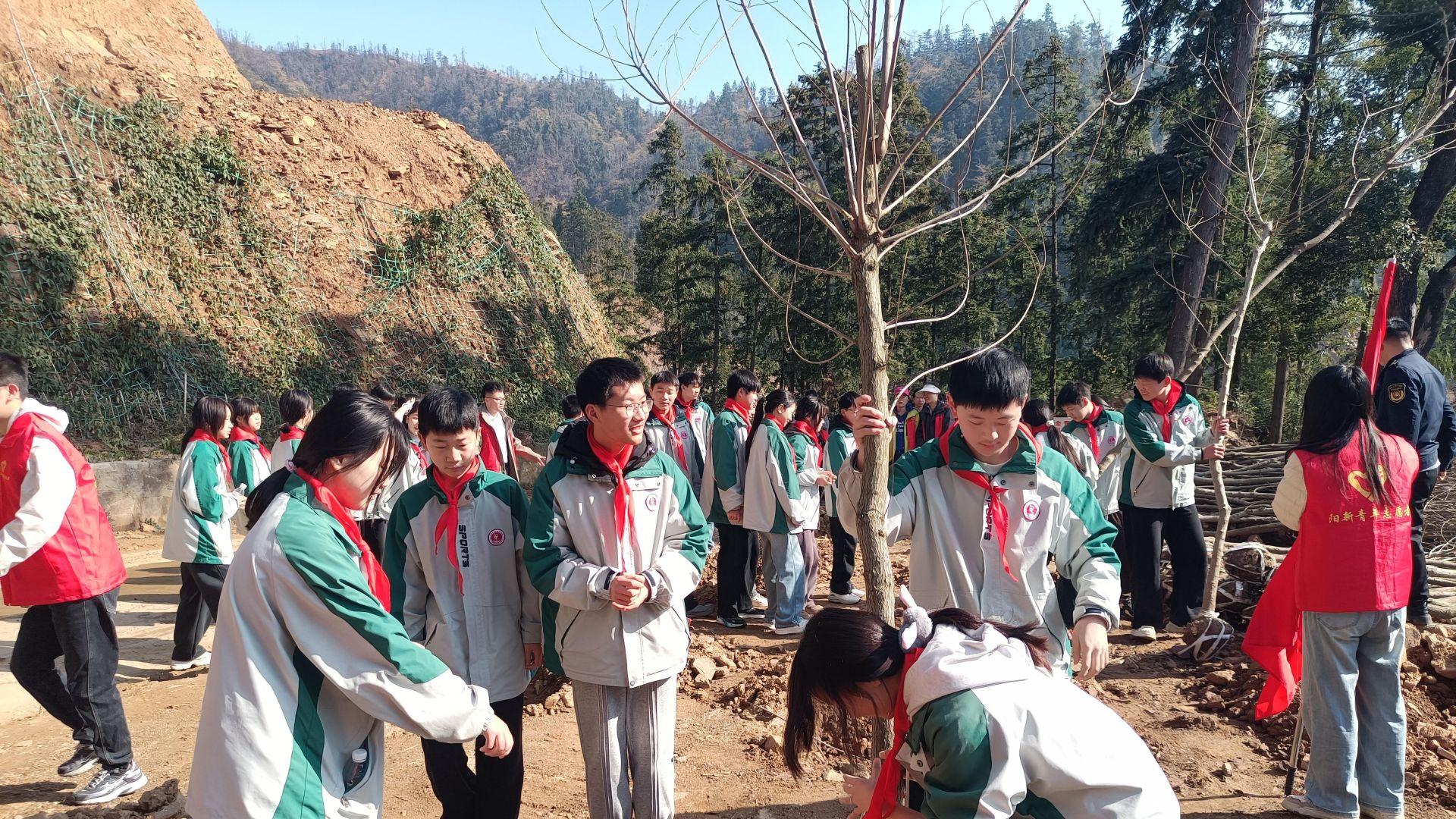 白沙镇开展义务植树活动