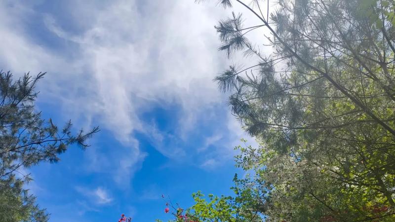 2026年别再扎根老家了