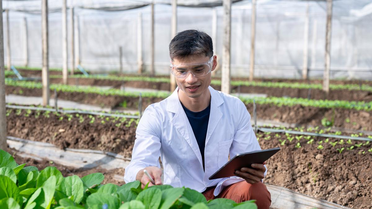 这些专业连续三年降分，捡漏机会来了！