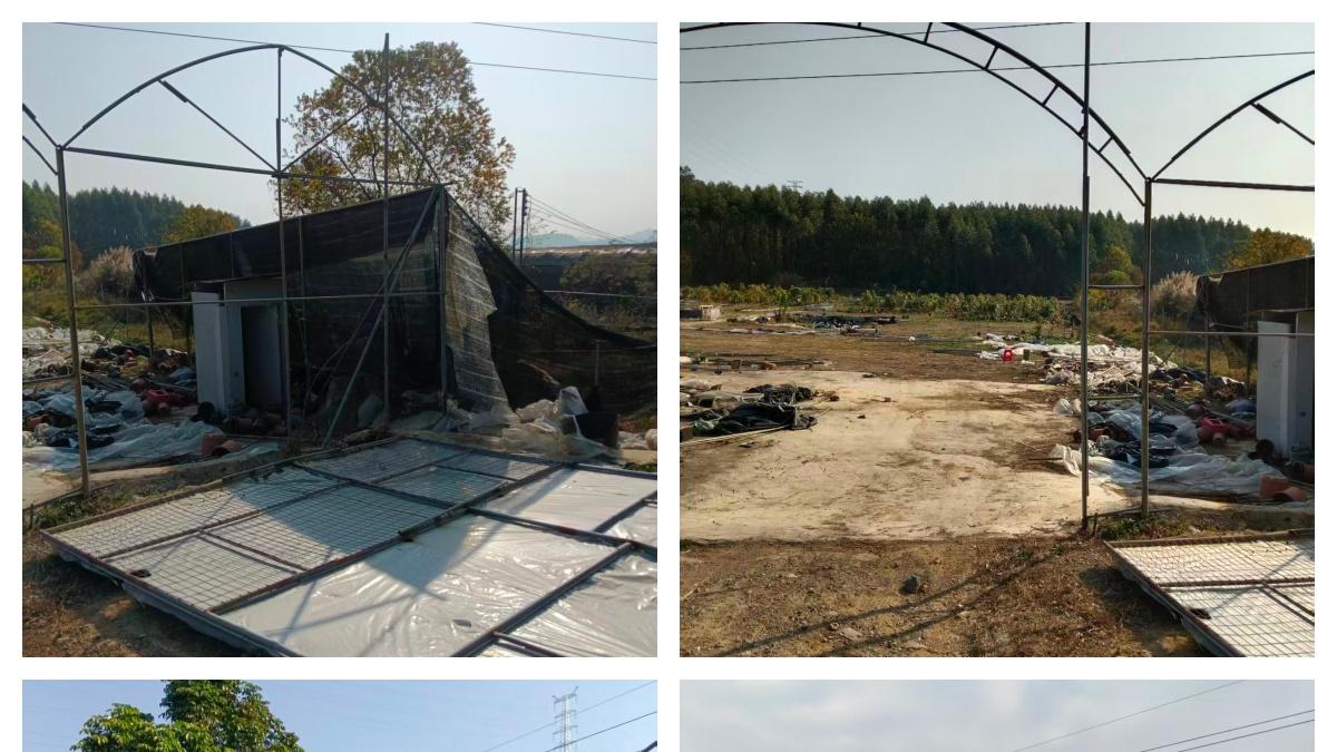 百万投入、98万补偿仅值千元：合同条款与事实脱节谁担责