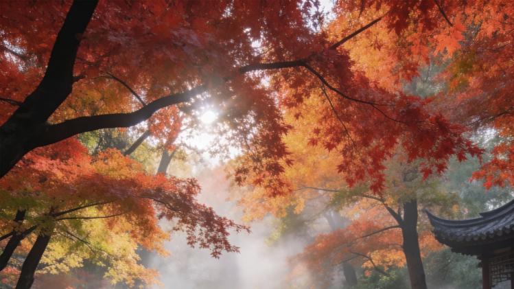 230超长续航Ultra版上线，全新领克08EM-P再添猛将