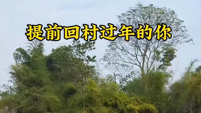 逃离催婚和酒桌后，这届年轻人发现了春节的“隐藏玩法”