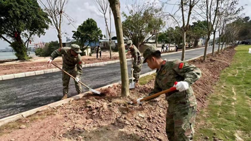广东佛山：春风添新绿 民兵植树显担当
