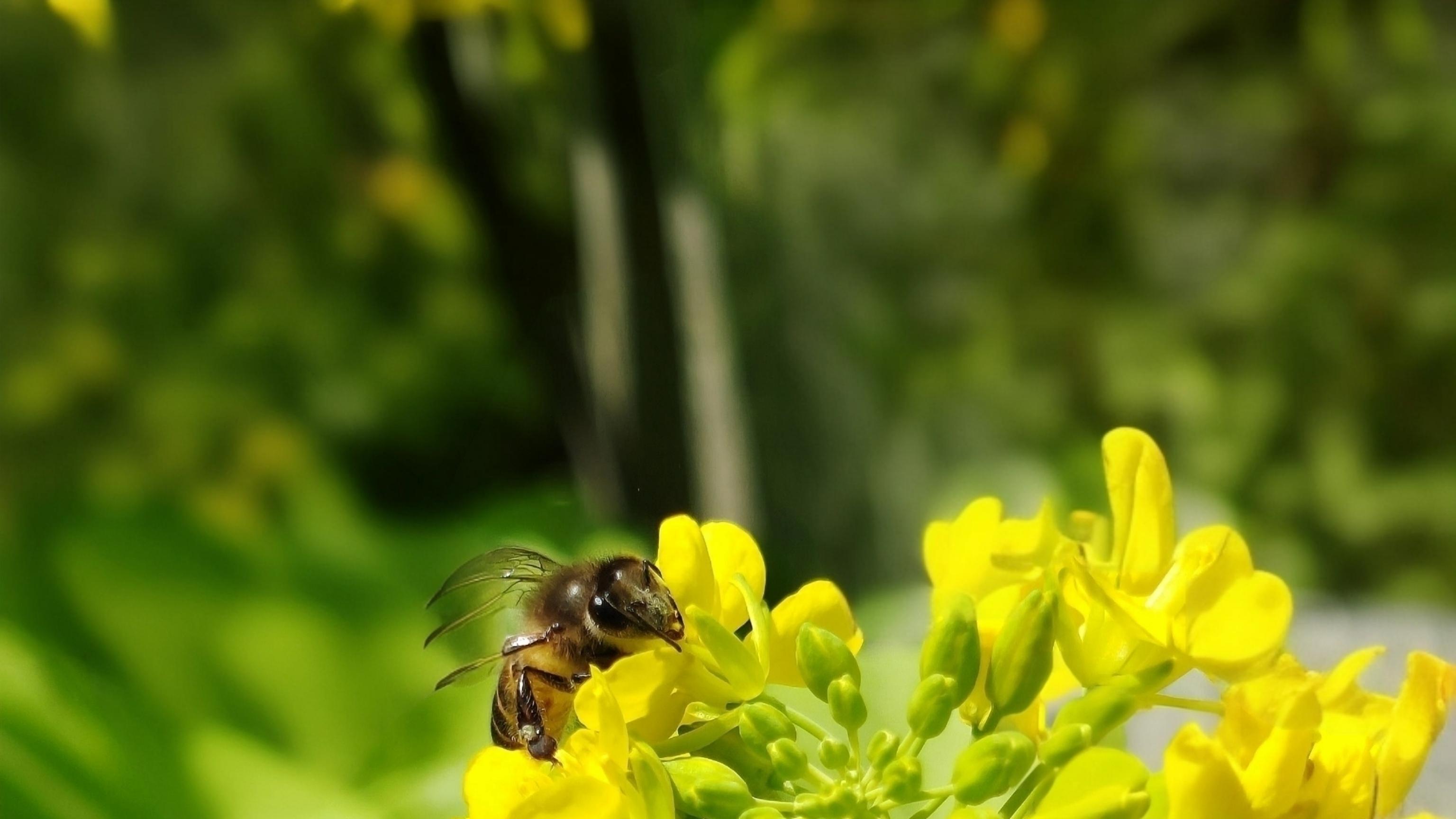 努力地燃烧过那份温暖