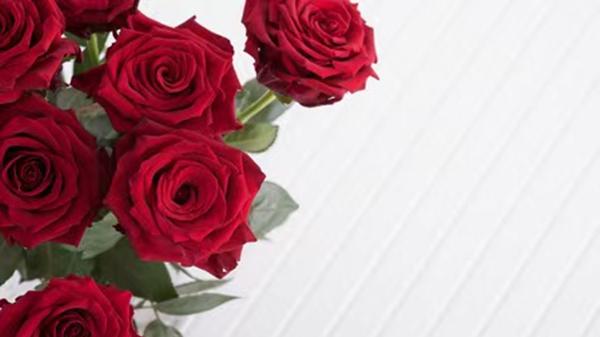 小说｜花有别样红