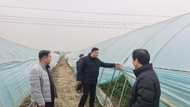 太和县阮桥镇全力筑牢低温雨雪冰冻天气防护线