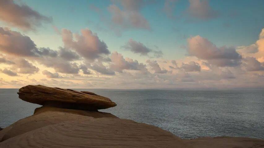 商家哪里便宜哪里拿货，错在家电企业！