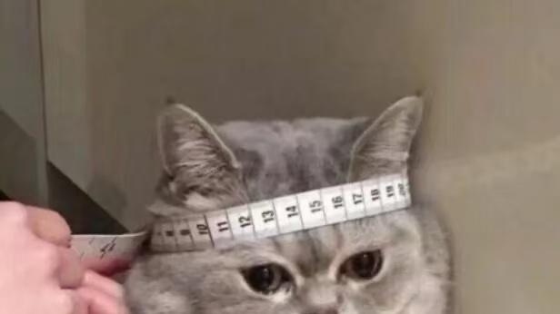 2026 卧室除醛净化器横评：谁是真除醛？实测数据说话不踩坑