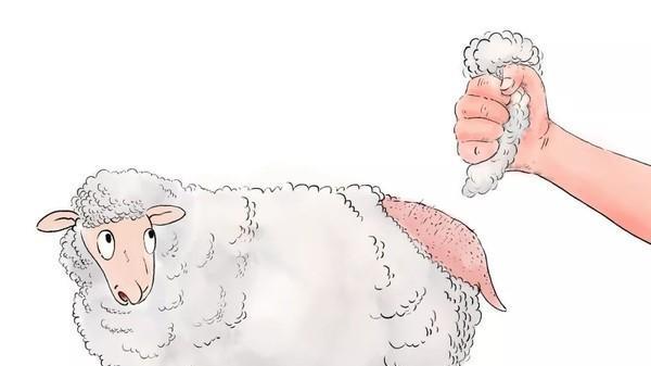 明明修复了高危漏洞，为何系统仍被“薅羊毛”？该找谁做真正有效的代码审计？