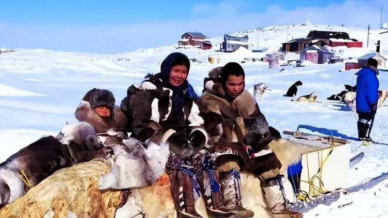 美军要武力夺取格陵兰岛，丹麦还敢喊话美国，其实还有一招