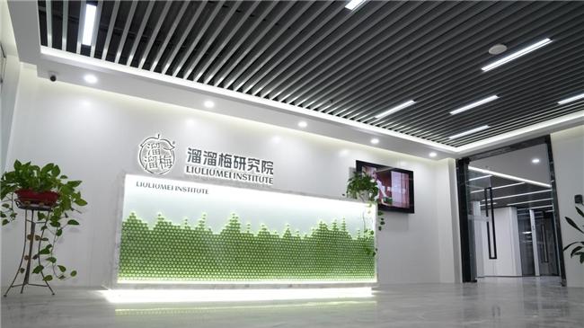 风物至此，食梅正当时！溜溜梅以匠心锁住枝头酸甜