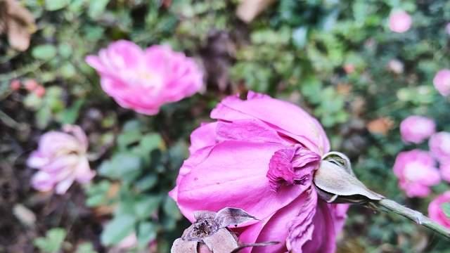 乖孩子青春期突然叛逆和厌学，家长要警惕，早觉察和预防才早解决