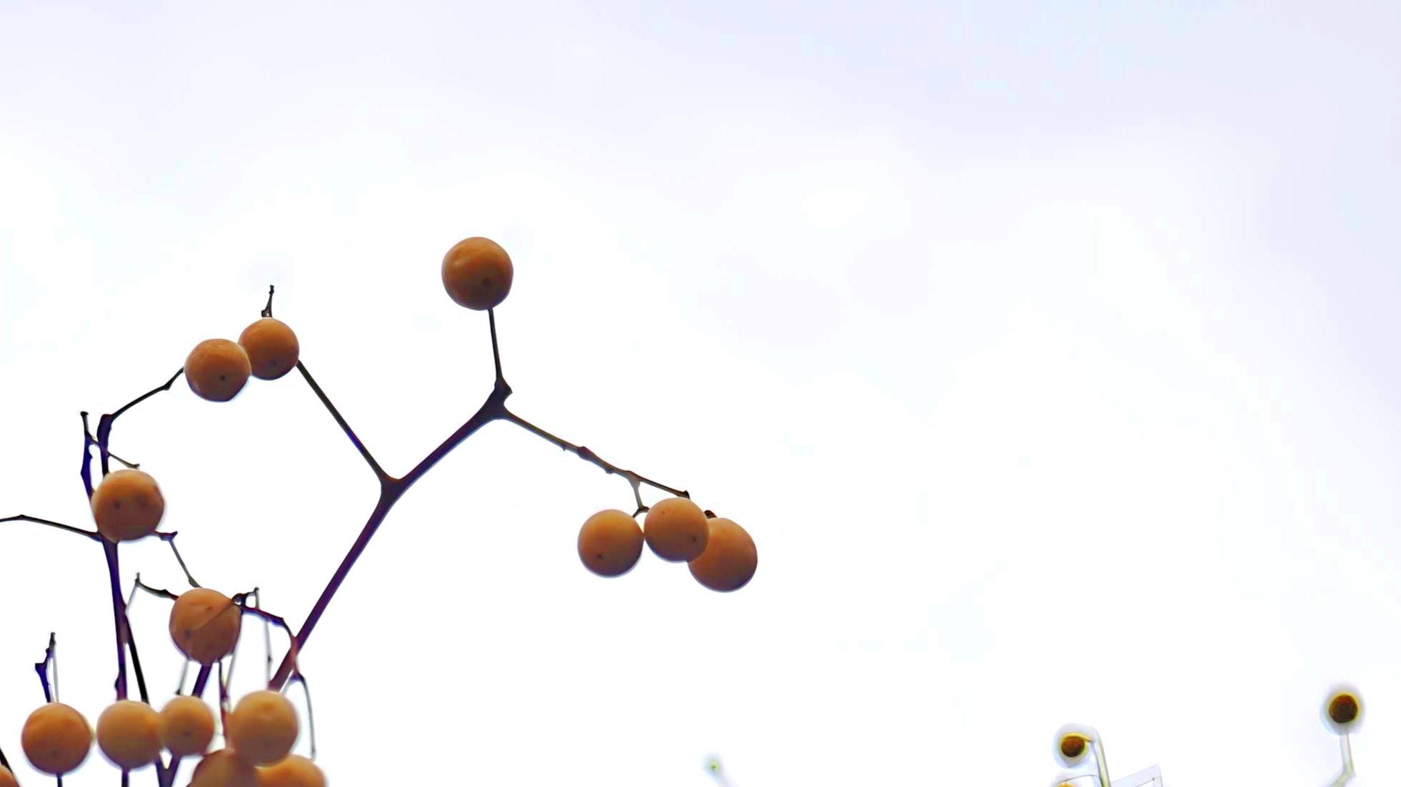 古籍摘录｜停止怨天尤人