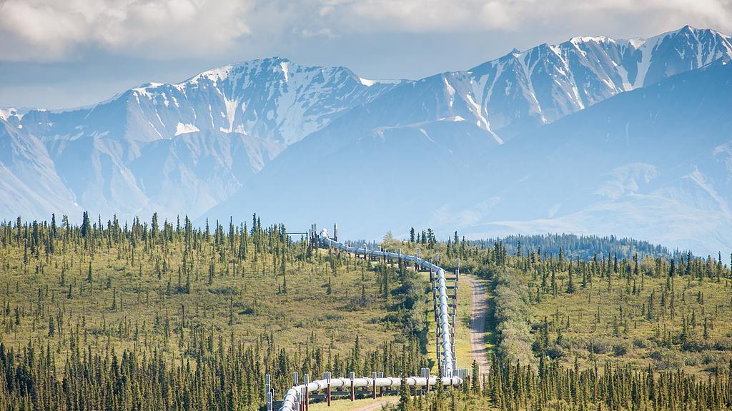 一种很愚蠢的人：缺德