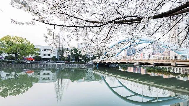 浙江工业大学埃克塞特联合学院就读体验好不好？家门口留学的最佳在选择