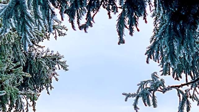 诗词荟萃——施昌林作品欣赏