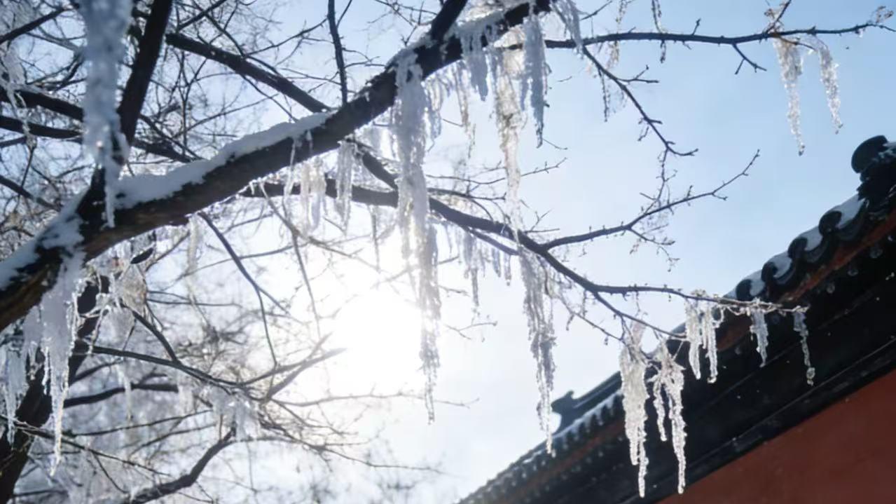 17人含8名未成年人将无家可归？广西一民间借贷案引争议