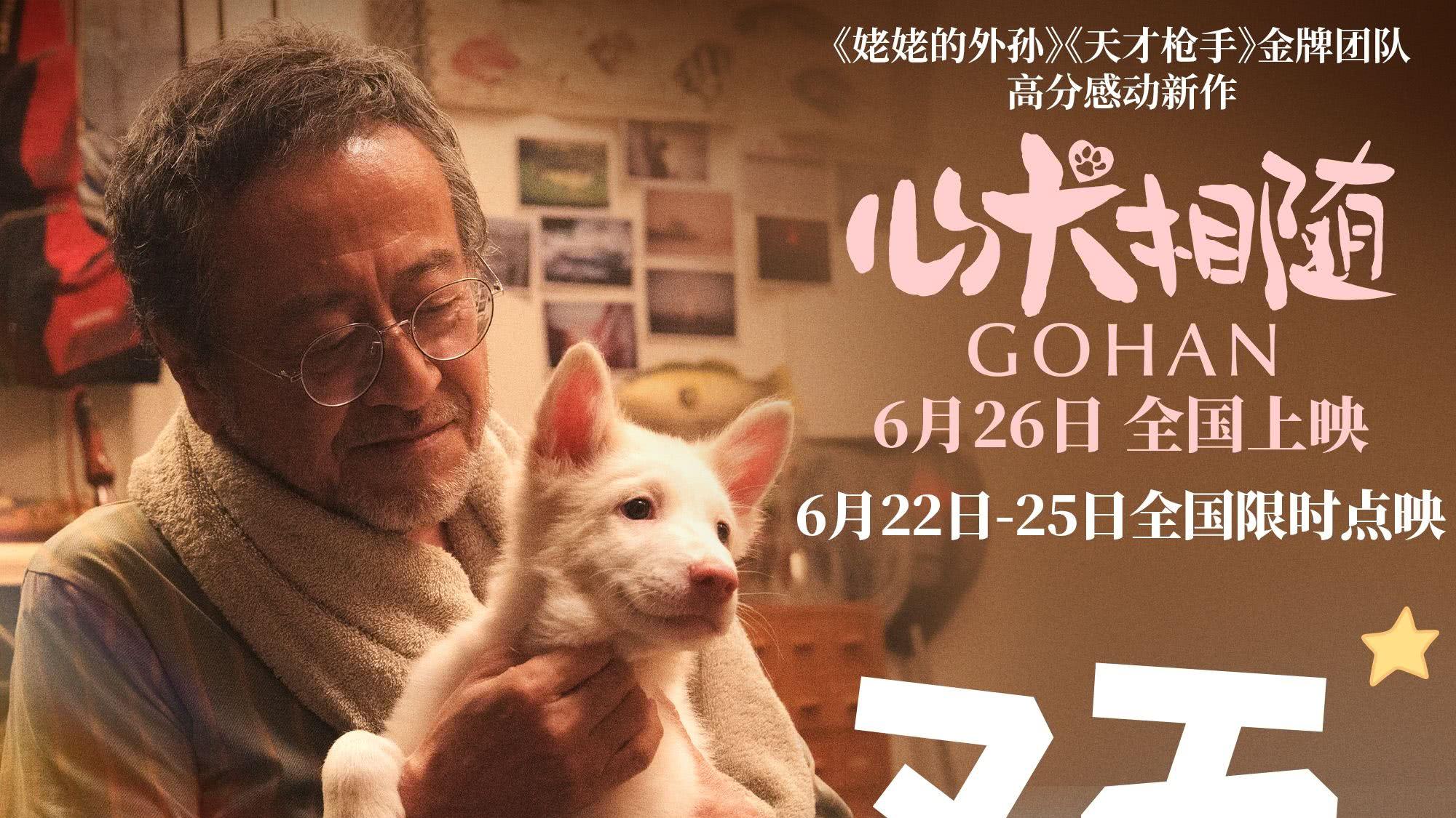 治愈萌宠电影《心犬相随》预售开启 6.26赴温暖陪伴之约