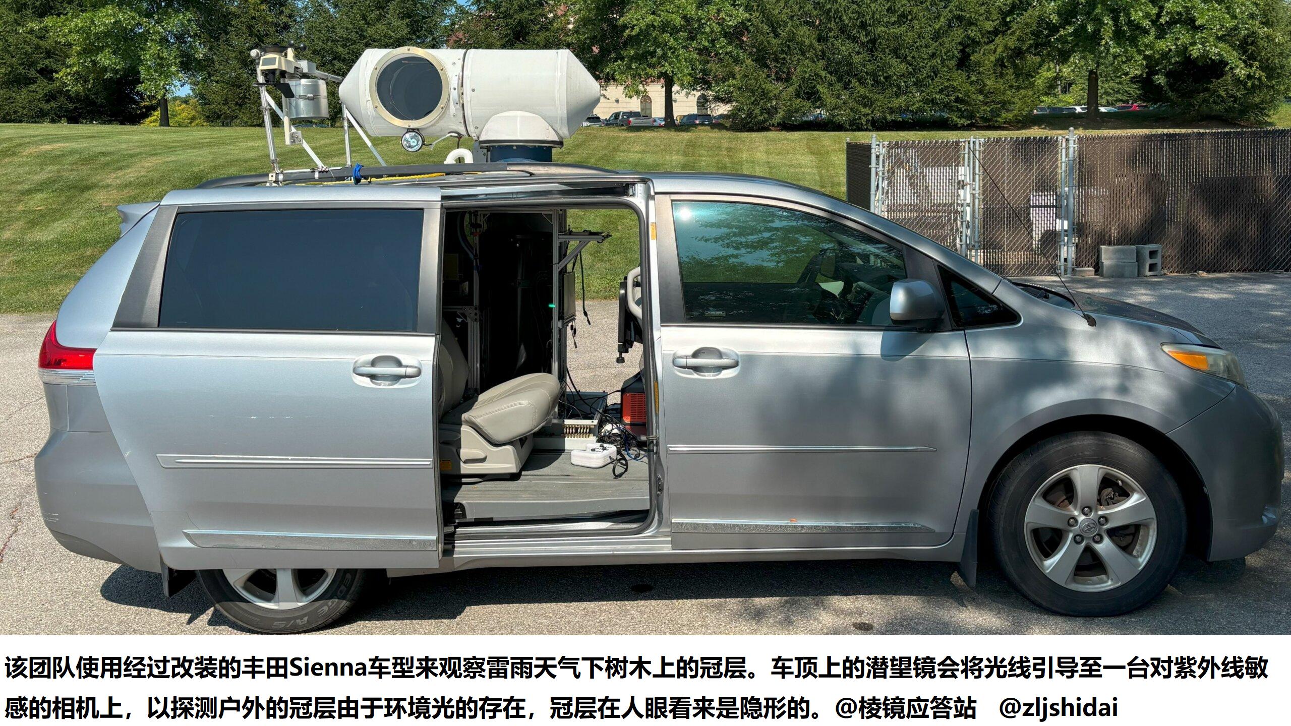 不是火烧，不是虫害，而是每秒都在发生的“叶尖电击”正在削弱整片森林