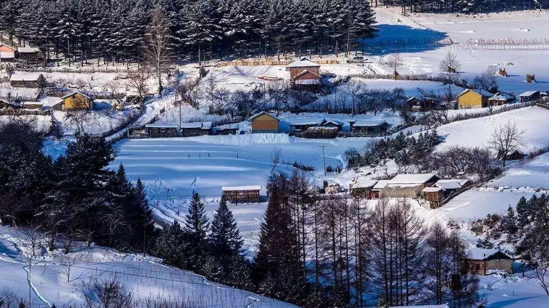 藏在腿上的这个穴位，是肝胆情绪的“好帮手”，每天按一按，全身感觉更轻松