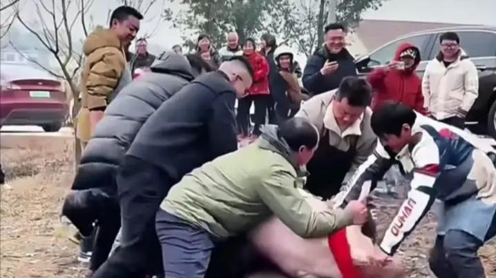 一句“按猪”引千人赴约：重庆农家小院如何引爆全网乡土狂欢