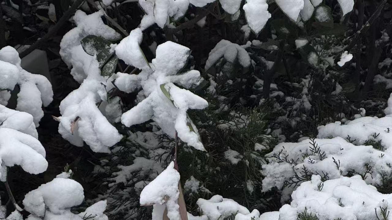 1个策略解决展会核心痛点：用动态二维码，实现“三天展会，价值三年”