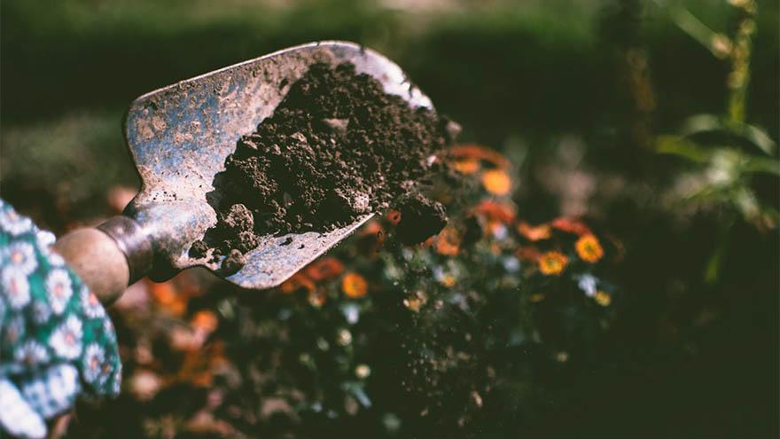 2-11 日干为戊己土的八字，准确率为什么偏低？今天谈谈“旺相休囚”