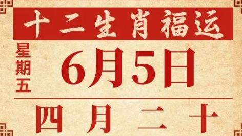 善韵缘|2026年6月5日十二生肖运势概况