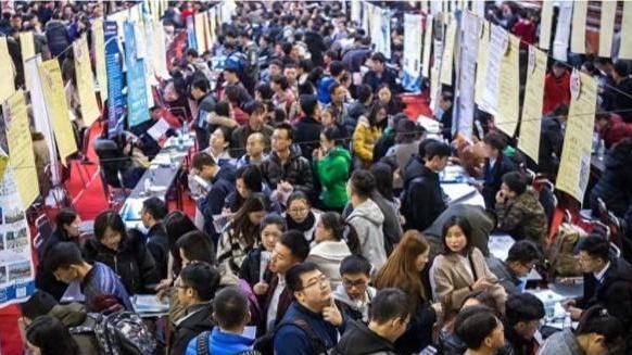 10万人抢9000岗位：黑龙江大学招聘会揭露的3个残酷就业真相
