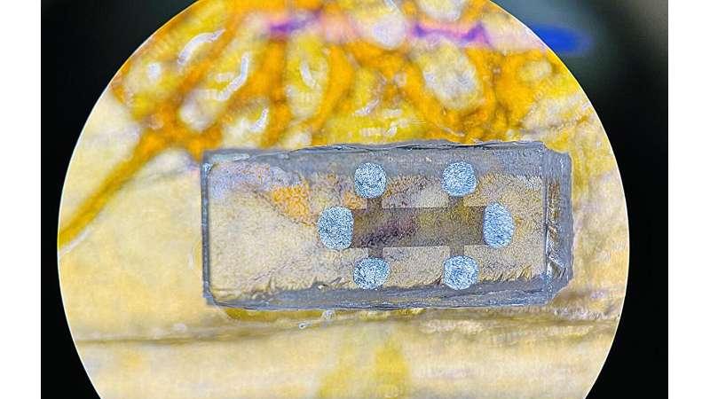 材料中曾被认为只有磁性才会被激活的超导性