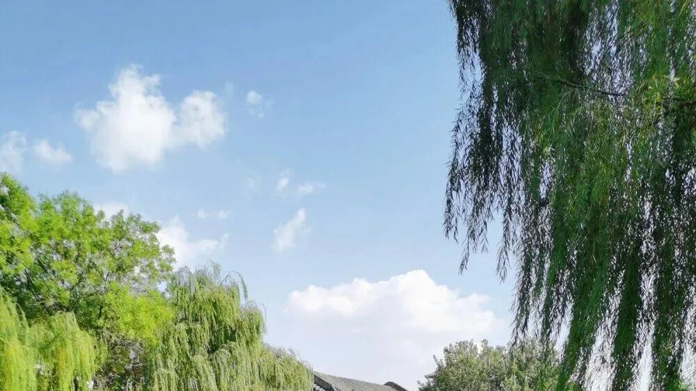 从修道看底层逻辑：识神的欺骗与归纳思维