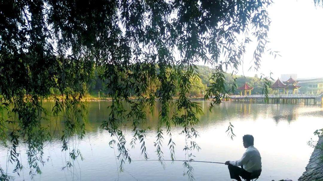 野钓总是空军？你只差这“三米”的距离！解析“宽钓窄，窄钓宽”的藏鱼密码