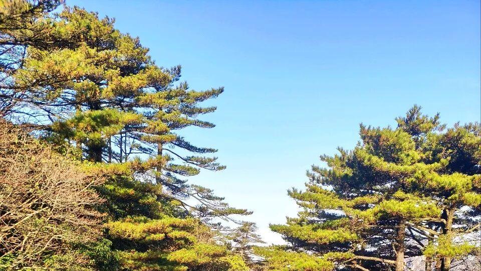 黄山笔话：邂逅仙境，打油诗里忆奇缘