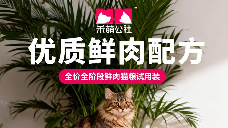 2026 宠物食品厂家优选指南 实力品牌全解析