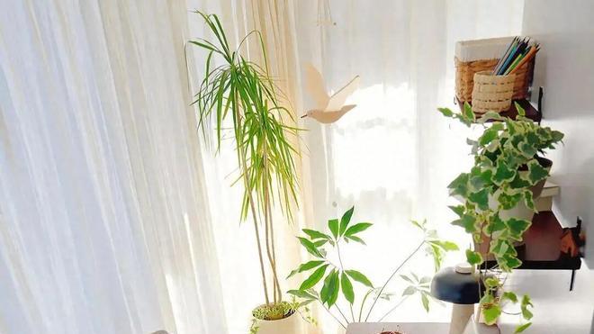 把物业公司开除，业主自己维护小区后，有人笑，有人哭了