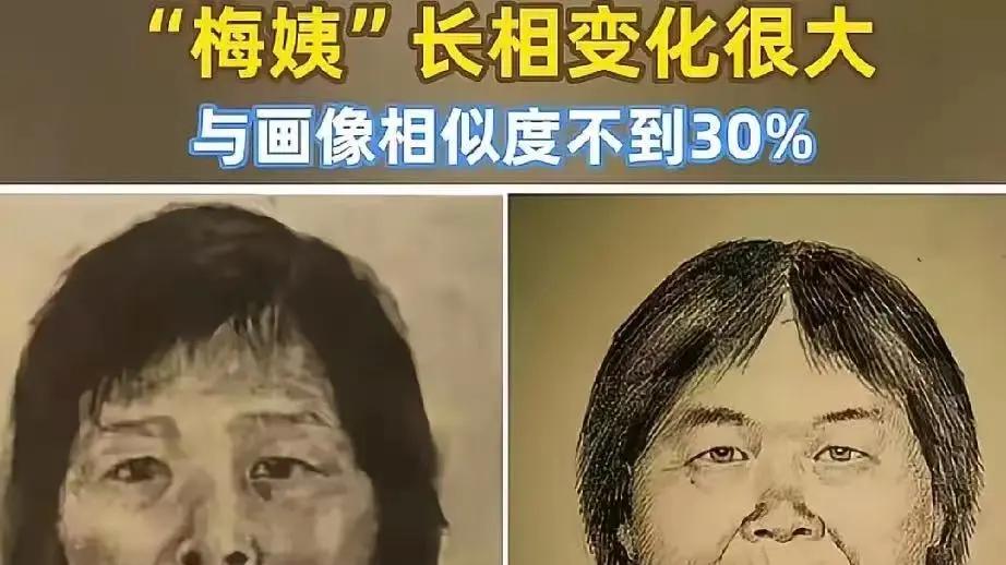 “梅姨”终于落网！潜逃20年的人贩子谢某某被捕，大快人心