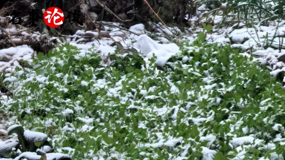 大寒出太阳，来年要闹荒？今日晴天藏玄机，老祖宗的警示别不当真！