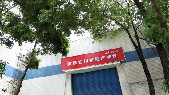 京东物流首个枇杷产地仓落地重庆，“黄金果”坐上无人机