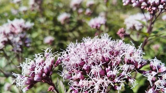 高中孩子提升内驱力，第一步远离干扰源，强价值感，最关键是习惯