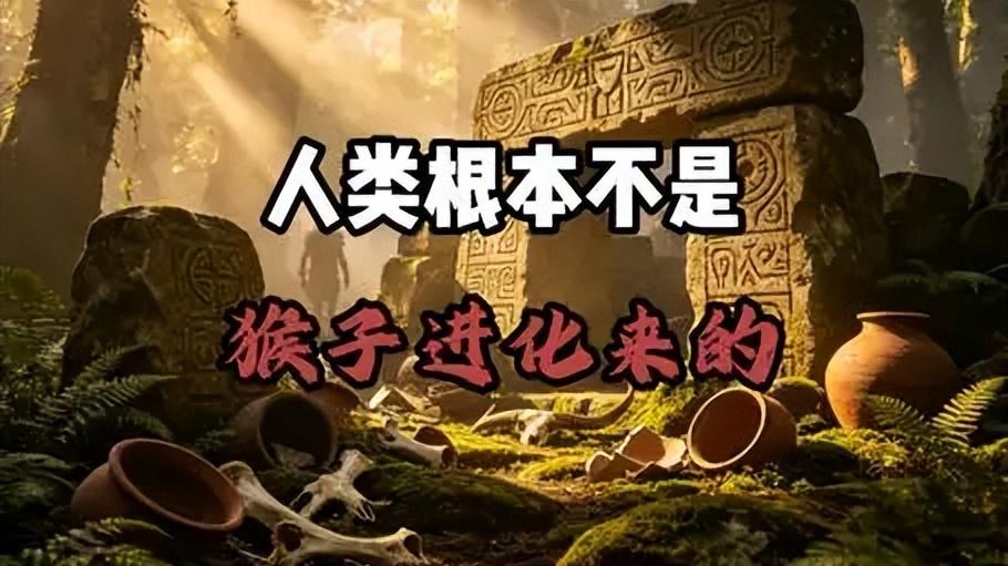 深度长文：对于进化论，很多人从一开始就误解了！