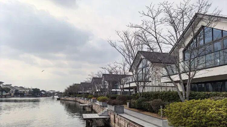 一尺花园筒仓店：感受朱家角的“一枝独秀”与“落寞孤寂”