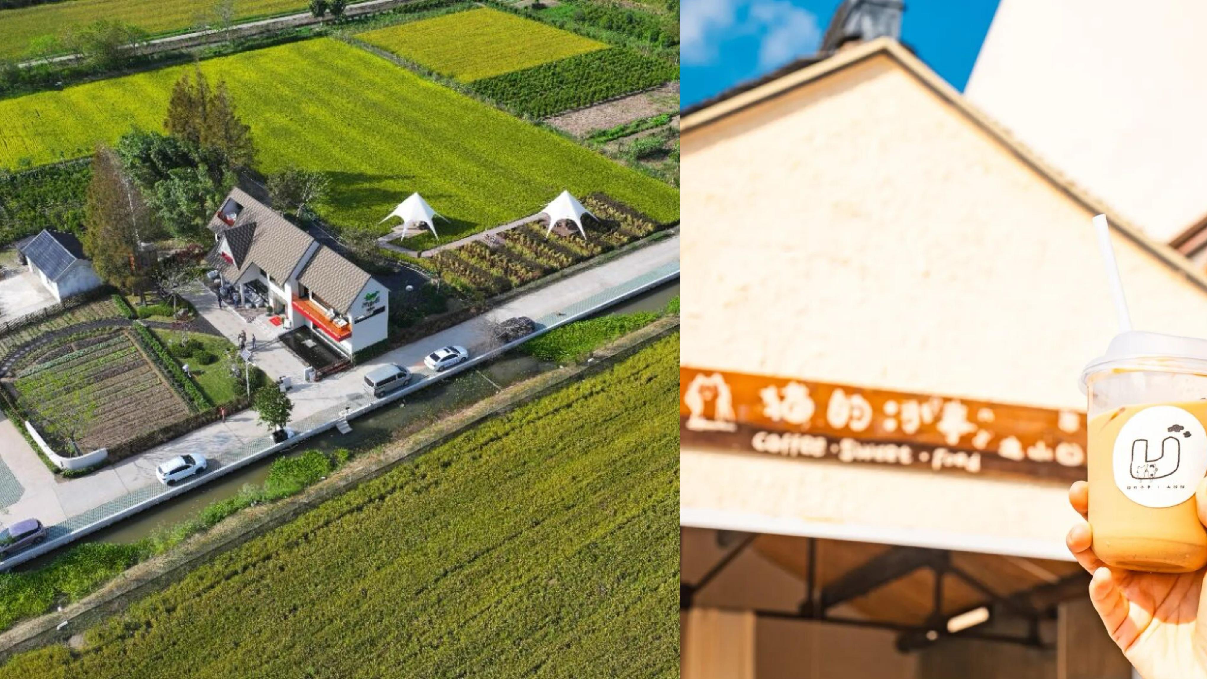 上海300余家“村咖”怎样喝出“百咖百味”的泥土香？
