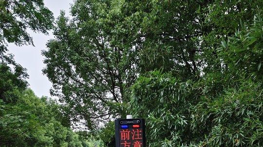 2026电子哨兵优质厂家品牌top推荐榜单