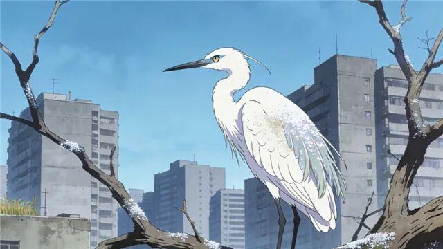 一只孤独的白鹭落在城角的枯树上 | 李民保