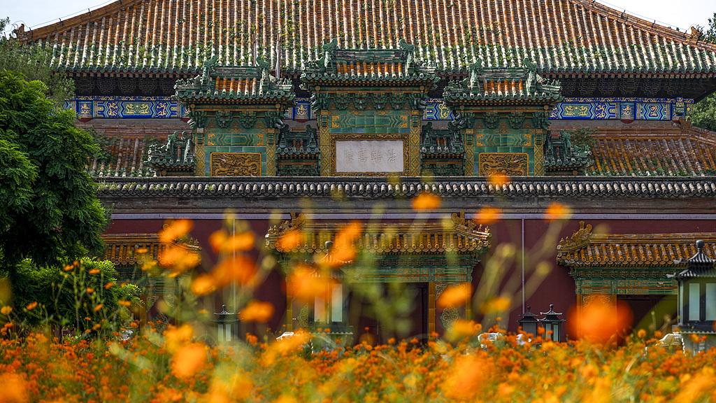 咨询实录｜丈夫总向着外人，老婆闹得对！家庭咨询师给中年妻子的实用提醒!